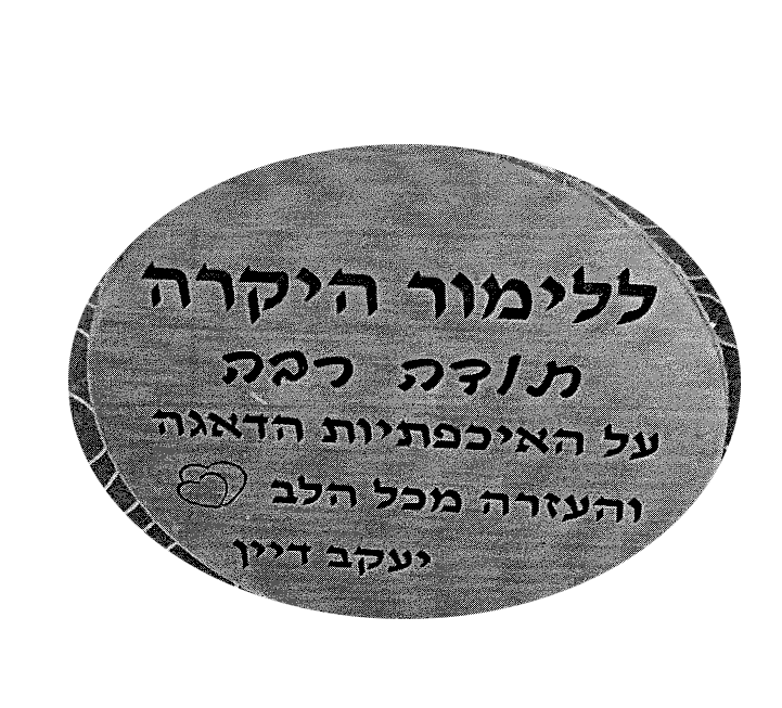 יעקב דיין